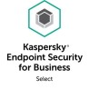 Antivirus KASPERSKY SELECT, 10- 14 licencias, 1 Año(s), 10 SELECT SELECT EAN UPC